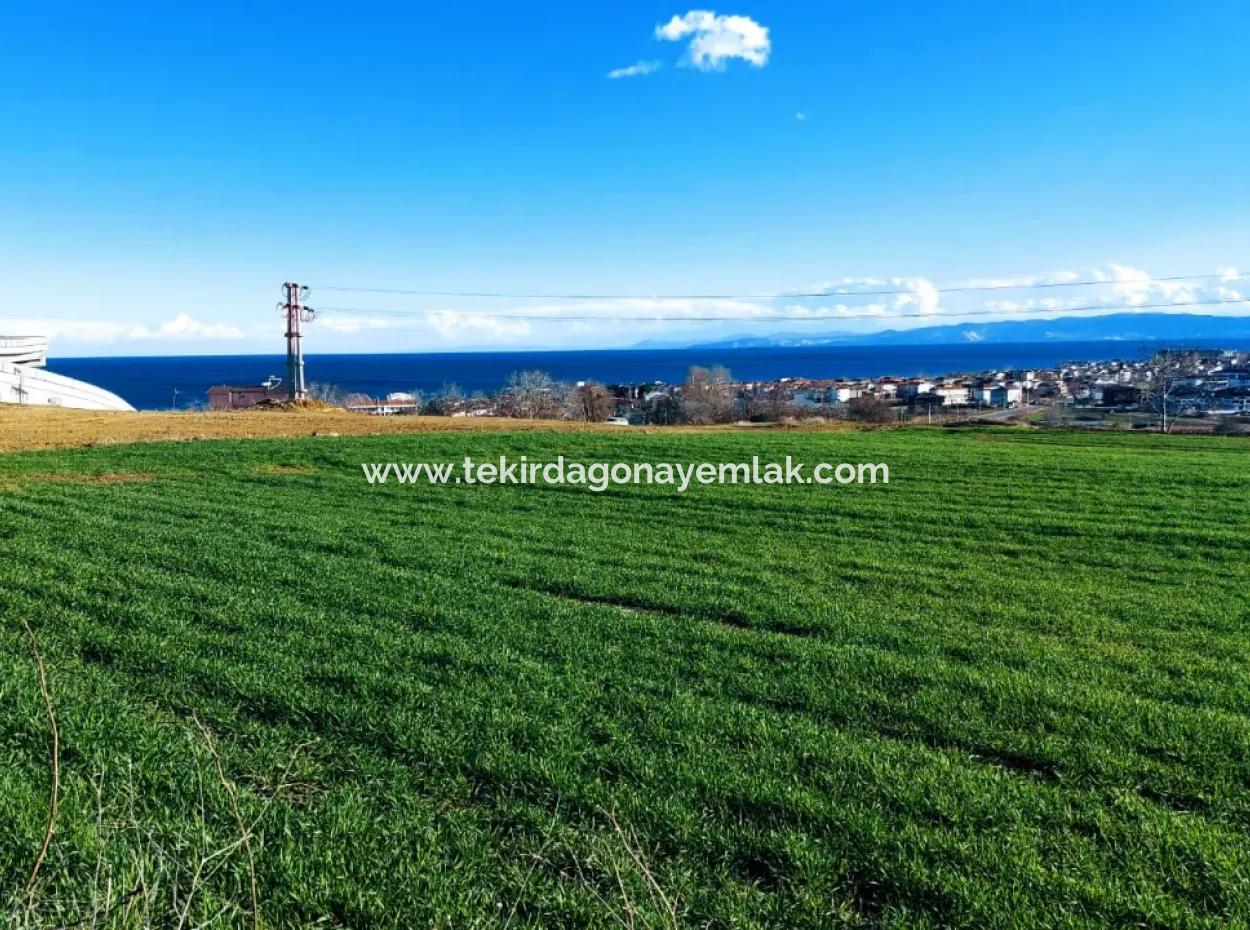 Tekirdağ Süleymanpaşa Barbaros'ta Bulunan Bu 11.100 M2 Konut İmarlı Arazi, Harika Bir Konumda Yer Alıyor.