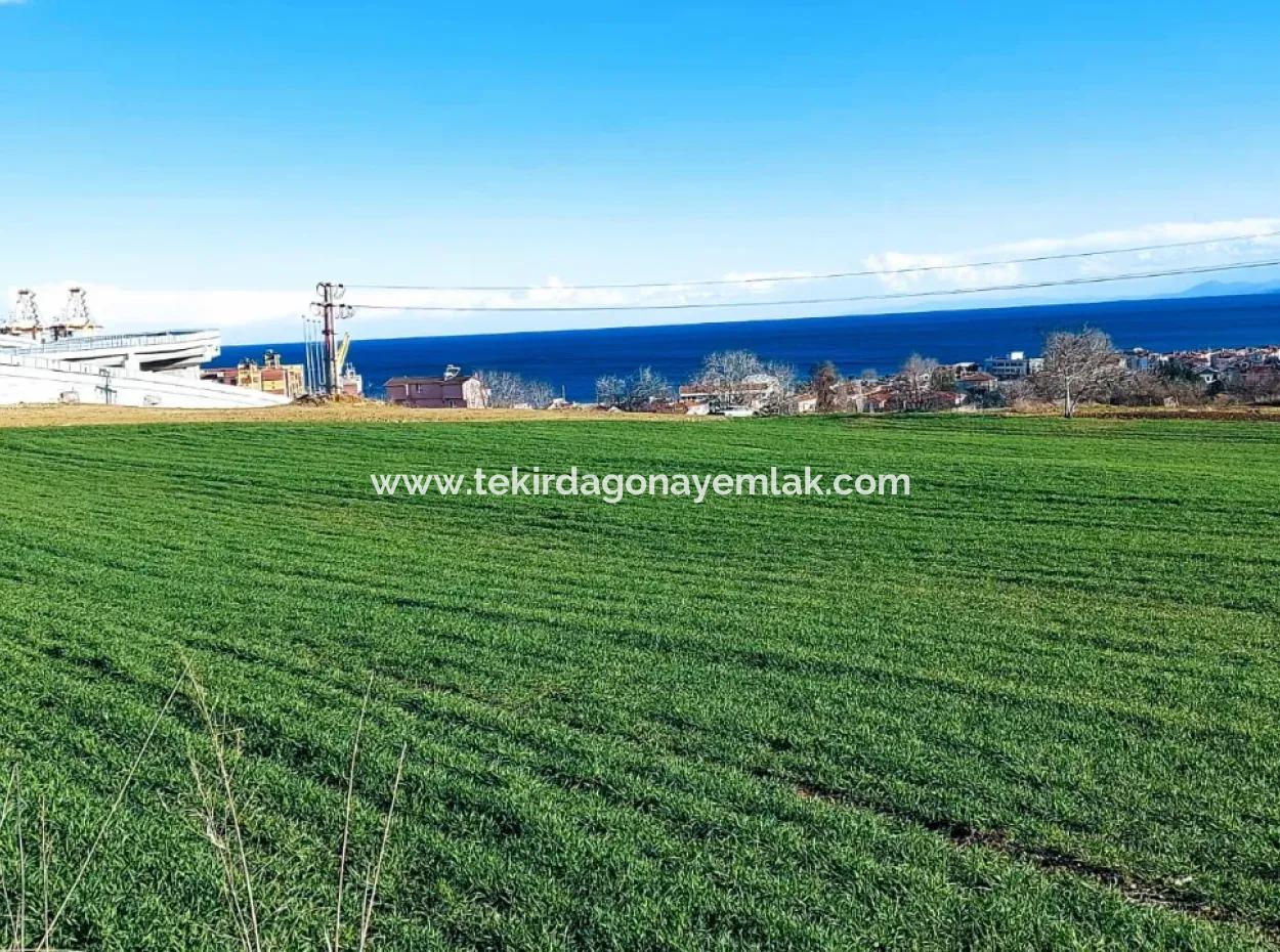 Tekirdağ Süleymanpaşa Barbaros'ta Bulunan Bu 11.100 M2 Konut İmarlı Arazi, Harika Bir Konumda Yer Alıyor.