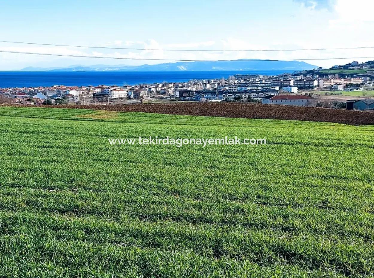 Tekirdağ Süleymanpaşa Barbaros'ta Bulunan Bu 11.100 M2 Konut İmarlı Arazi, Harika Bir Konumda Yer Alıyor.