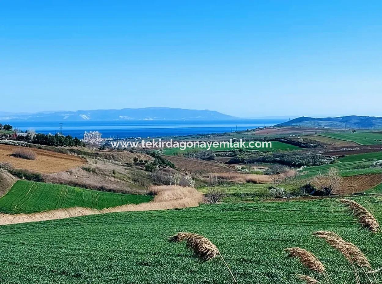 Tekirdağ'ın Nusuratlı Mevkisinde 19.500 Metrekarelik Ticari Ve Sanayi Alanında Satılık Tarla