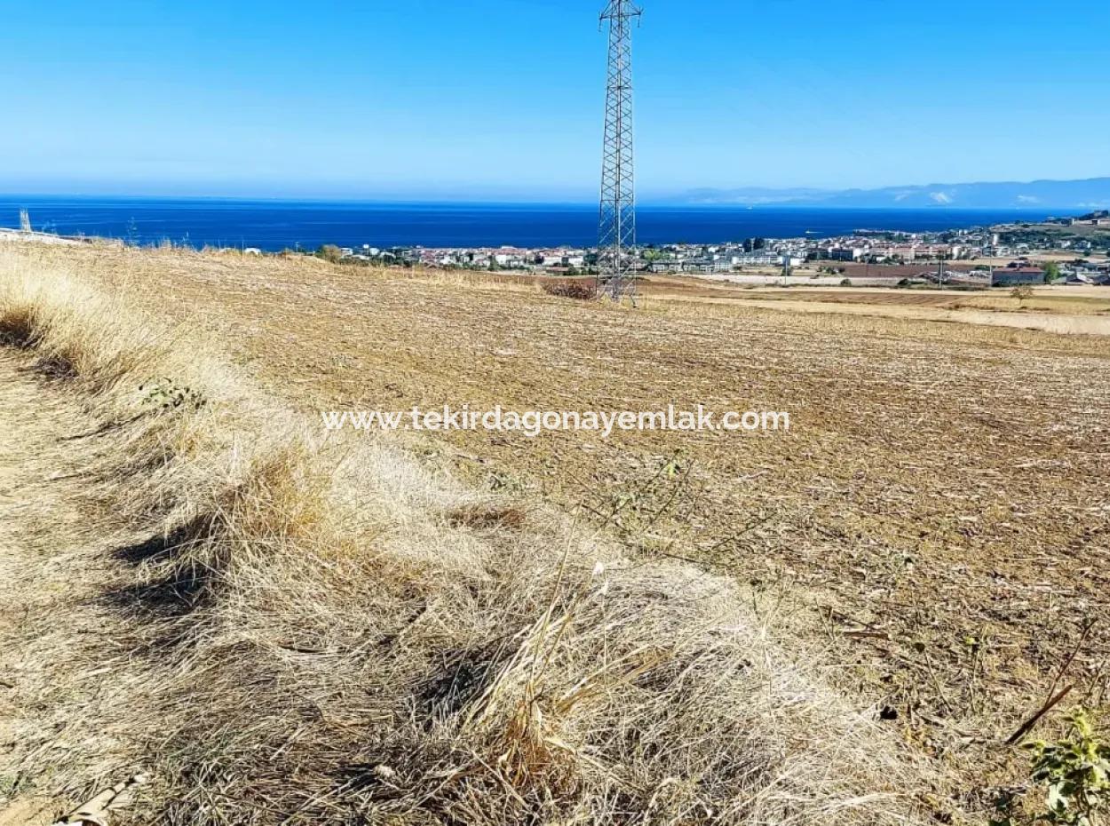 Tekirdağ Barbaros'ta Bulunan 21,900 M2 Arsa, Asyaport Limanı Mevcut İmar Planı İçinde Yer Almaktadır