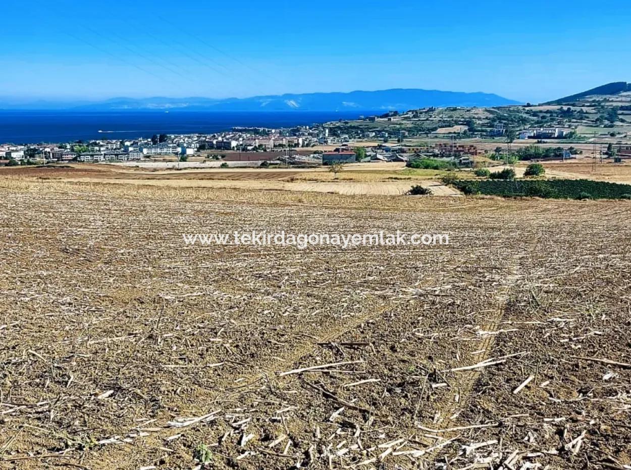 Tekirdağ Barbaros'ta Bulunan 21,900 M2 Arsa, Asyaport Limanı Mevcut İmar Planı İçinde Yer Almaktadır