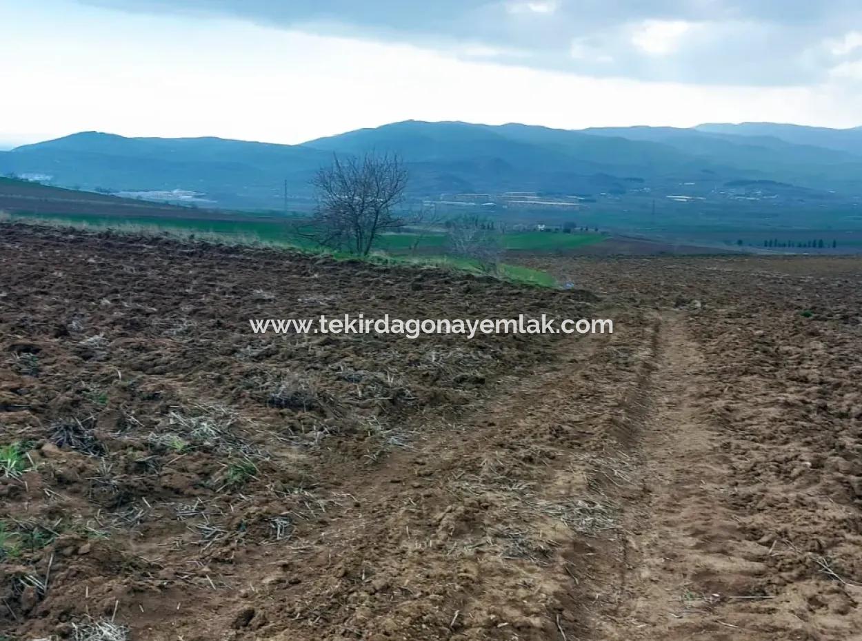 Tekirdağ Barbaros Bölgesinde Asyaport Limanı Mevcut İmar Planı İçinde Ticari Ve Sanayi Alanı Yatırım Fırsatı