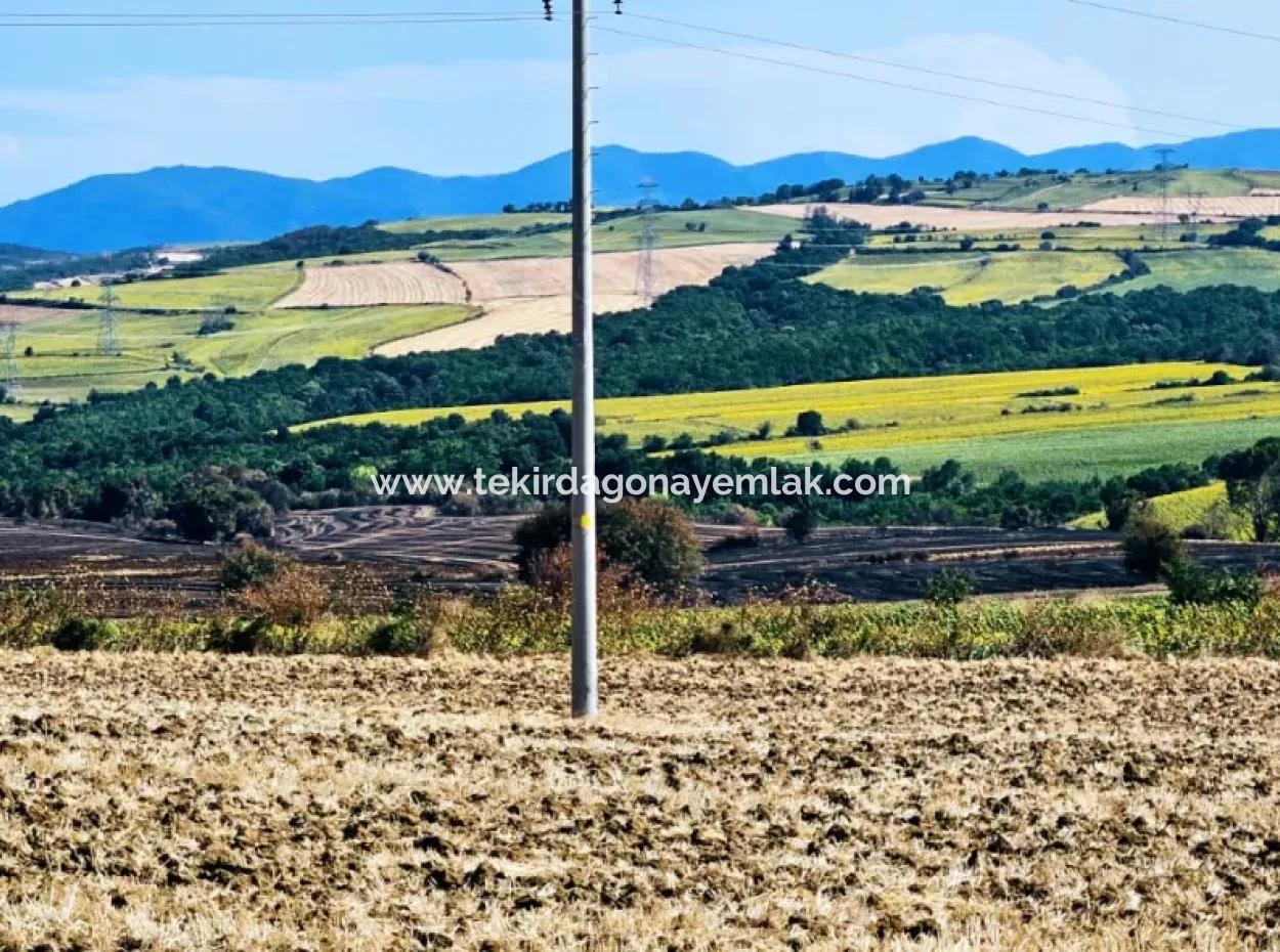 Tekirdağ Aşağkılıçlı Mah. Anayol Cepheli 2.340 M2 Al - Sata Uygun Yüksek Kazanç Vaaed Eden Acil Satılık Kupon Tarla