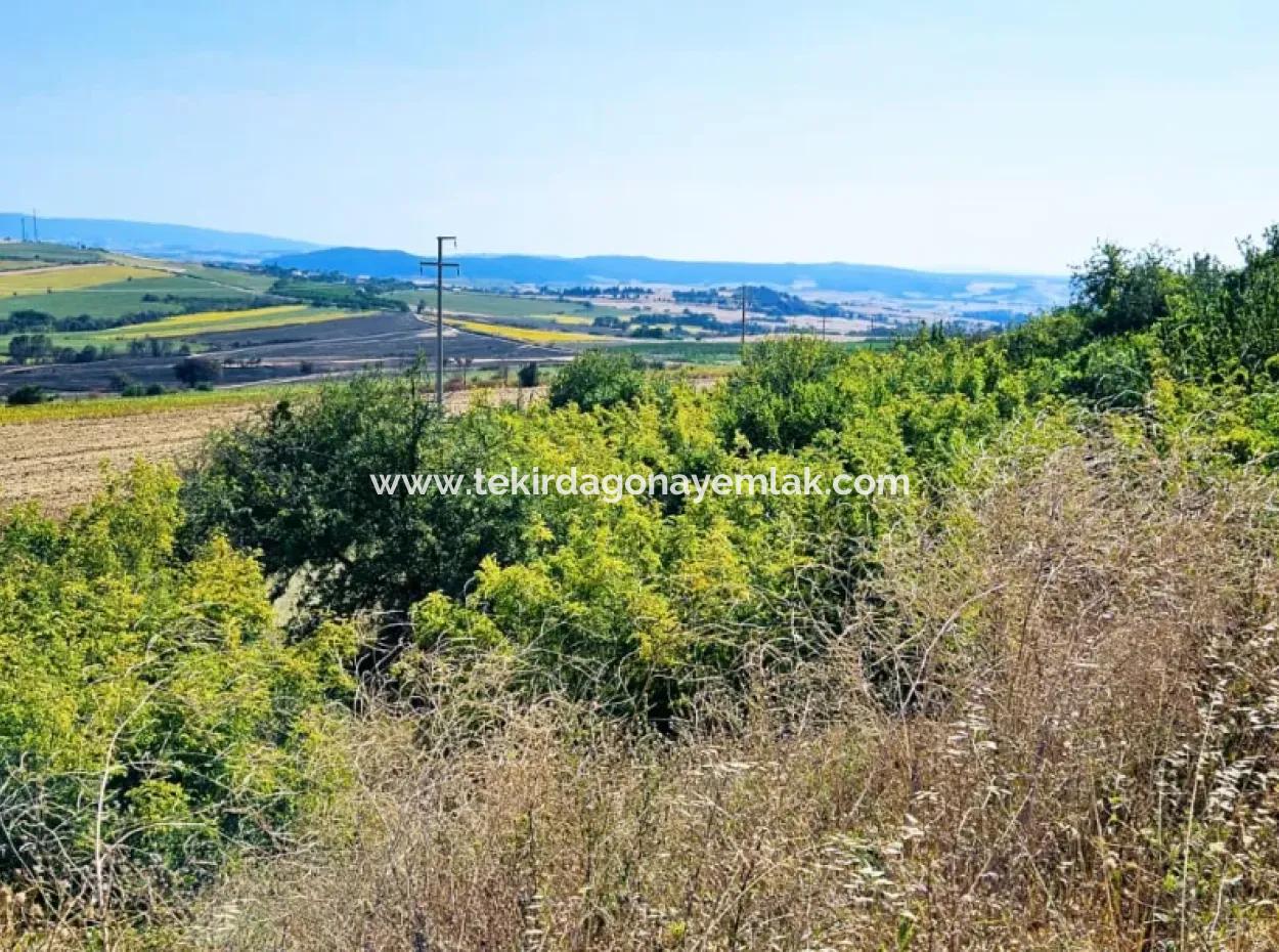 Tekirdağ Aşağkılıçlı Mah. Anayol Cepheli 2.340 M2 Al - Sata Uygun Yüksek Kazanç Vaaed Eden Acil Satılık Kupon Tarla