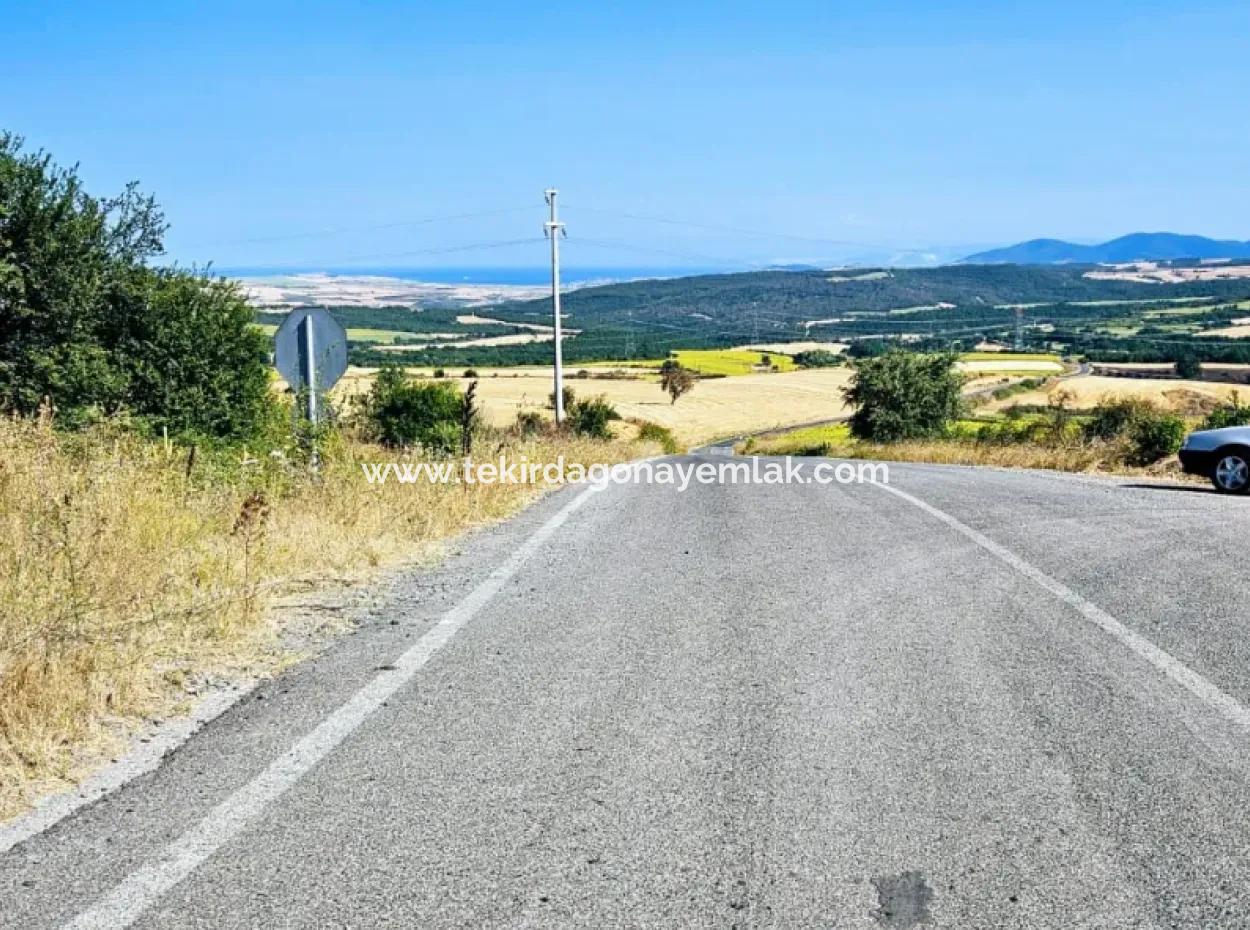 Tekirdağ Aşağkılıçlı Mah. Anayol Cepheli 2.340 M2 Al - Sata Uygun Yüksek Kazanç Vaaed Eden Acil Satılık Kupon Tarla