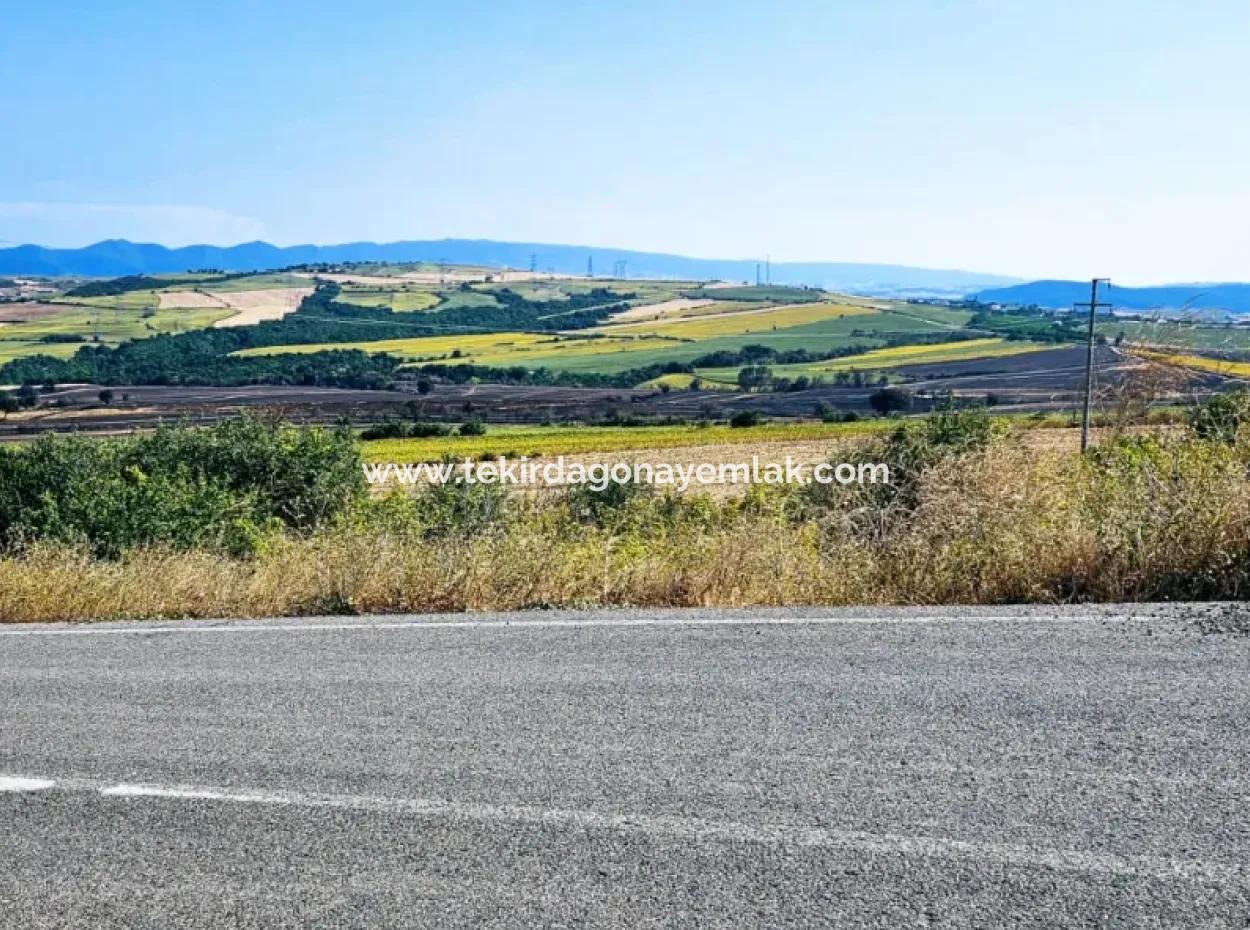Tekirdağ Aşağkılıçlı Mah. Anayol Cepheli 2.340 M2 Al - Sata Uygun Yüksek Kazanç Vaaed Eden Acil Satılık Kupon Tarla