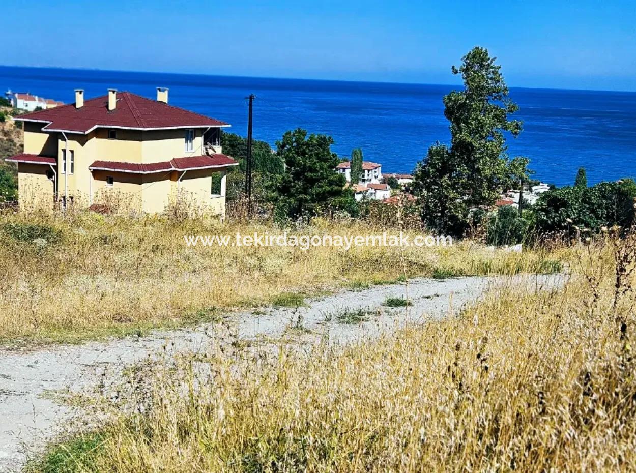 Tekirdağ Barbarosta Acil Satılık 4 Tarafı Yol Cephe Tatırımlık Yer Arayanlar İçin Kaçırılmayacak Fırsat