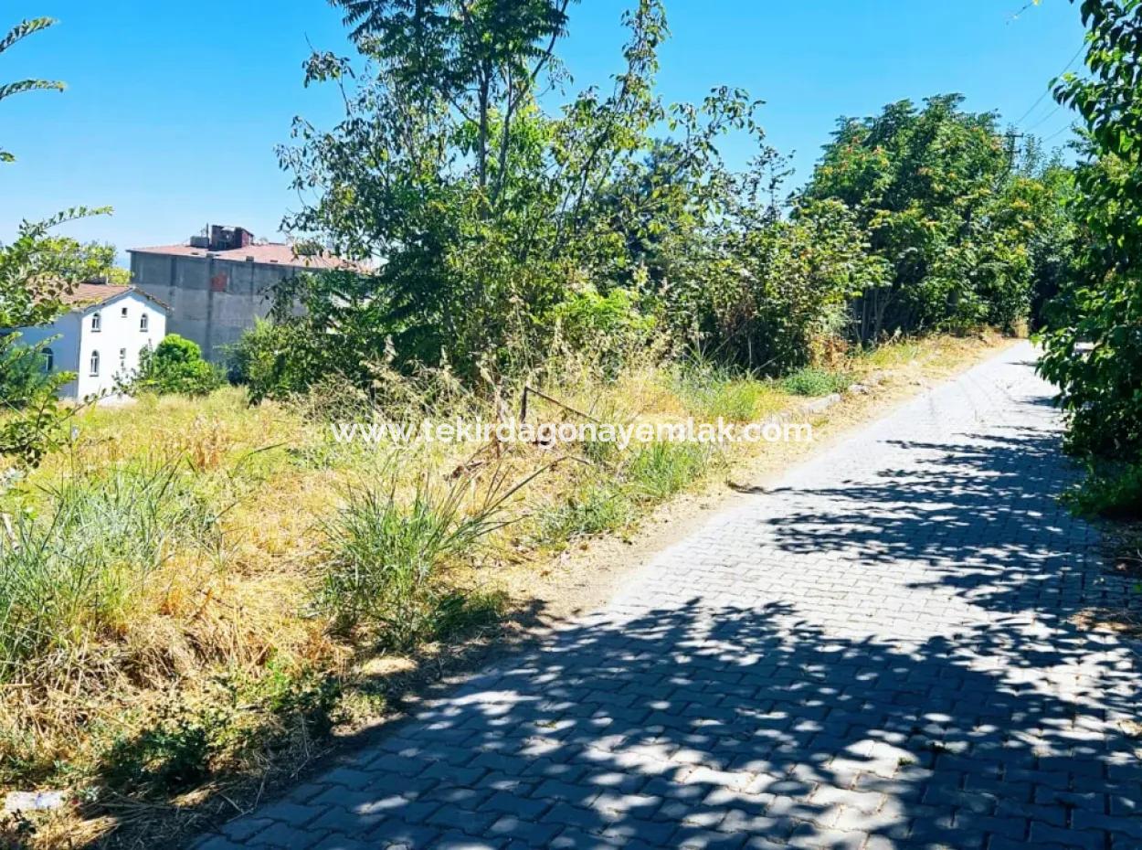 Tekirdağ Barbarosta Acil Satılık Anayol Cepheli Ticari + Konut İmarlı [ Bitişik Nizam ] 85 Dairelik Yüksek Kazanç Garantisi