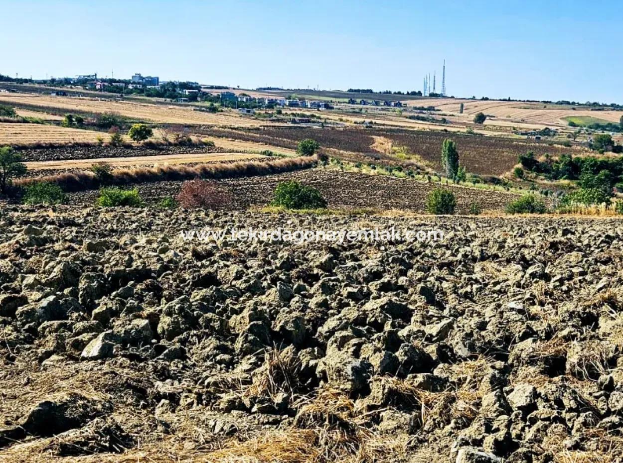 Tekirdağ Barbarosta Acil Satılık 2.650 M2 Villa İmarlı Yatırıma Uygun Kupon Tarla