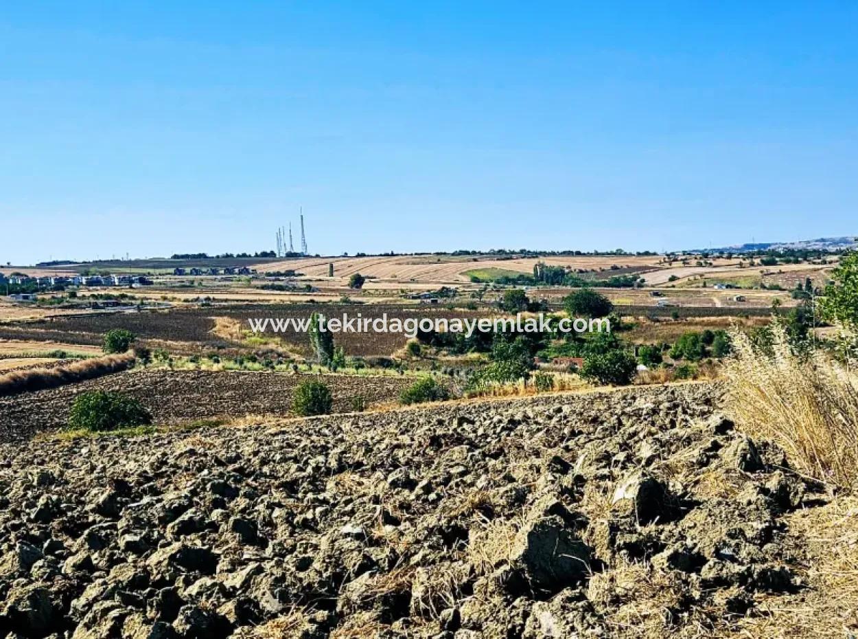 Tekirdağ Barbarosta Acil Satılık 2.650 M2 Villa İmarlı Yatırıma Uygun Kupon Tarla