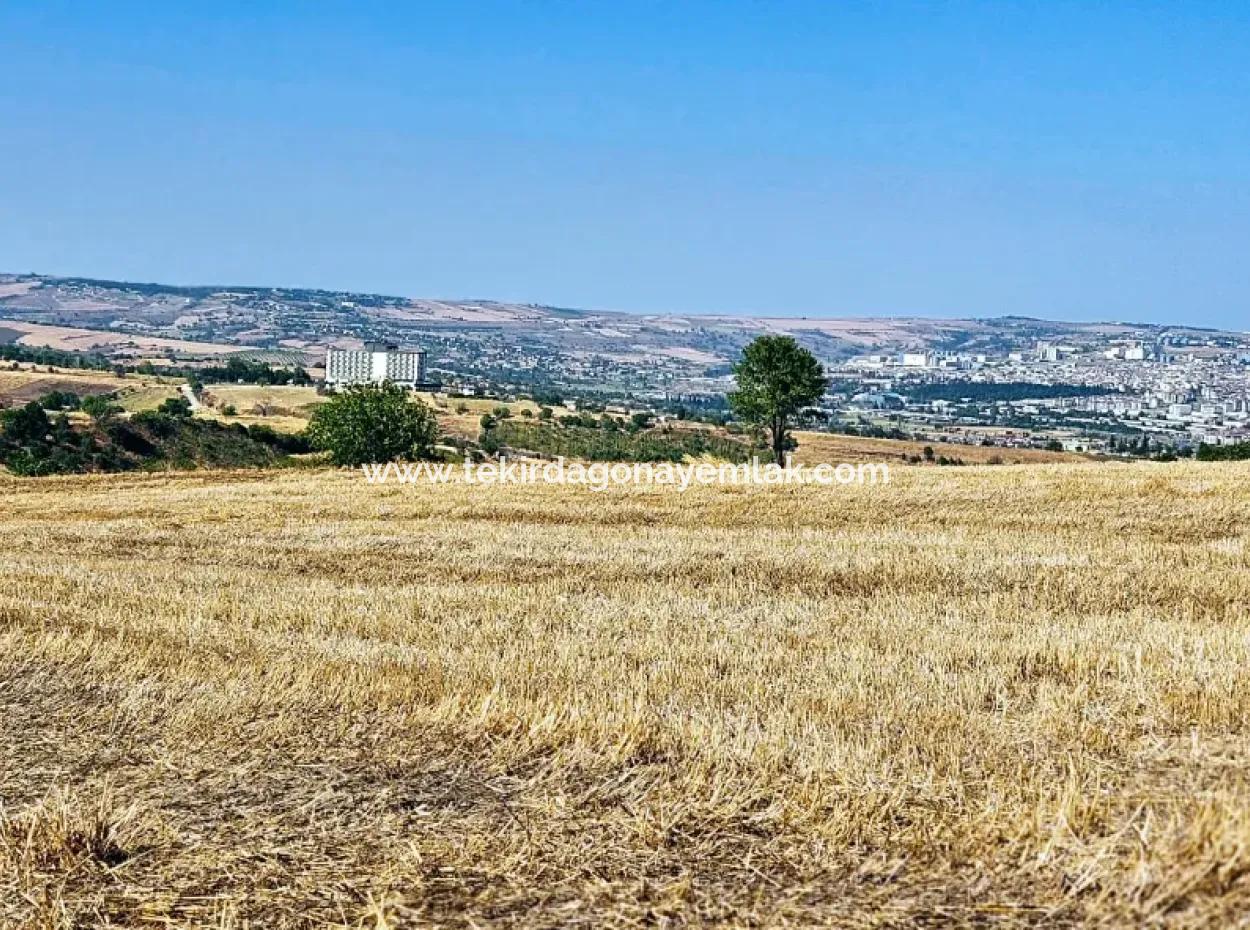 Tekirdağ Barbarosta Acil Satılık 2.650 M2 Villa İmarlı Yatırıma Uygun Kupon Tarla