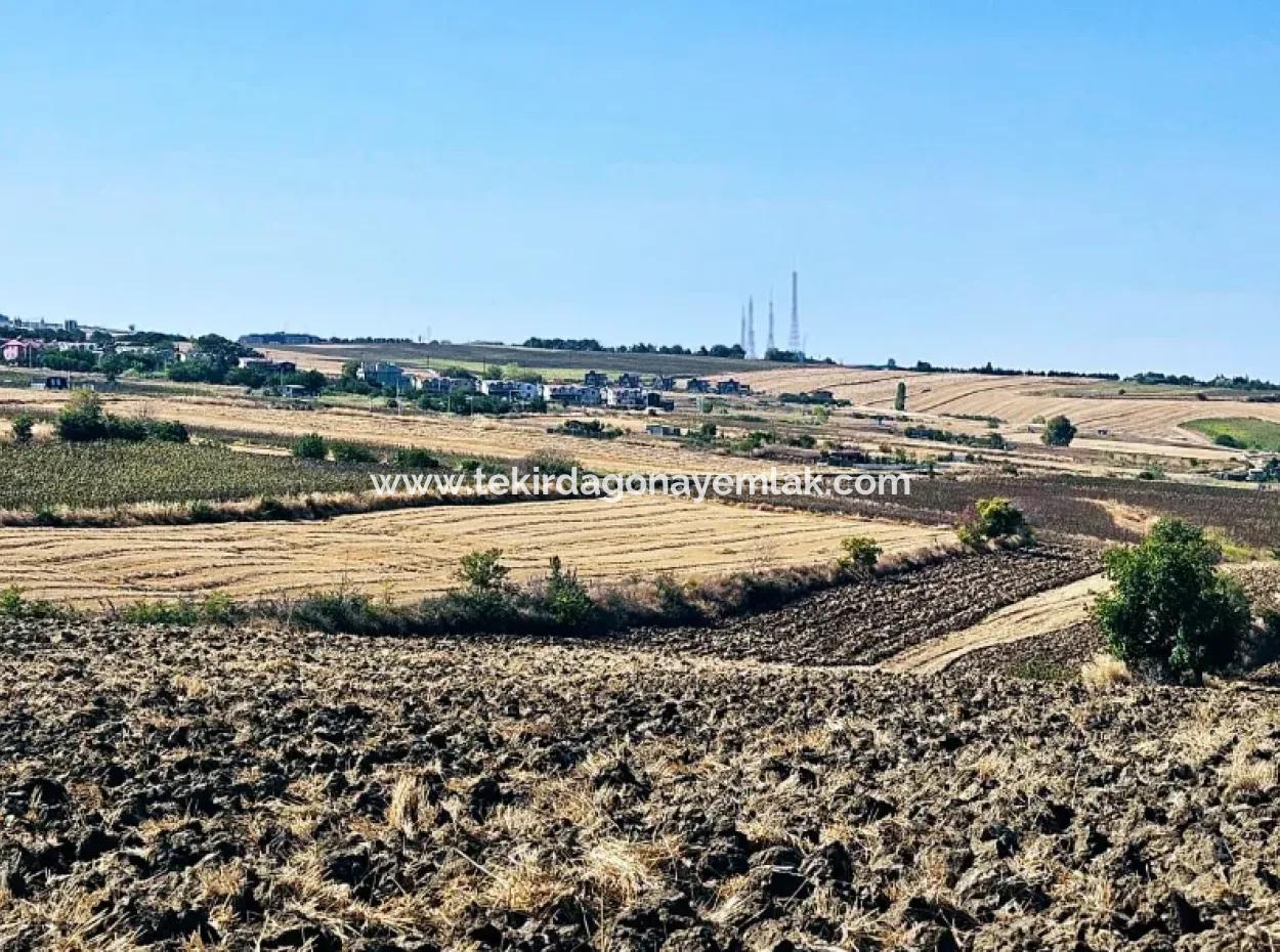 Tekirdağ Barbarosta Acil Satılık 2.650 M2 Villa İmarlı Yatırıma Uygun Kupon Tarla