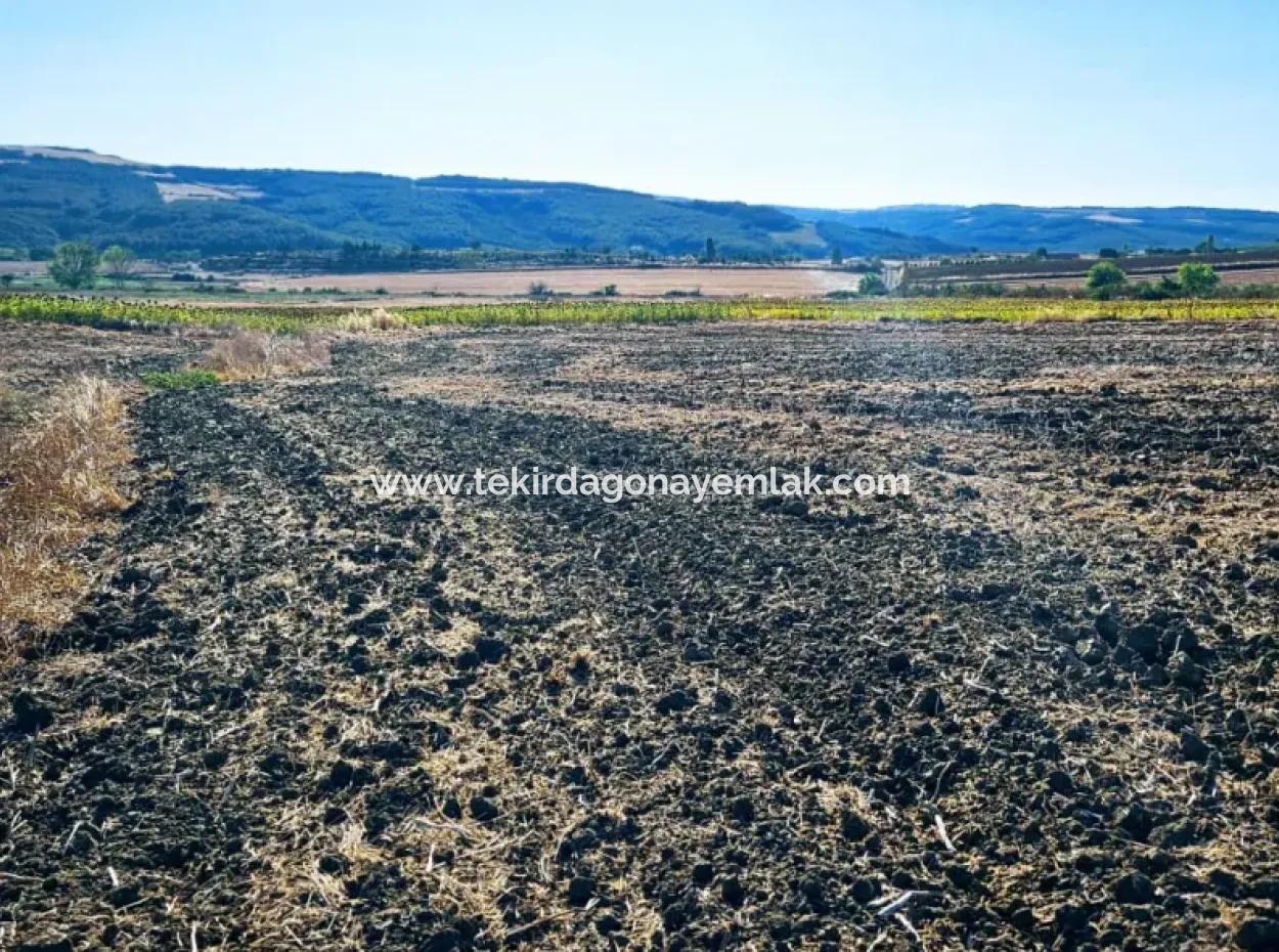 Asyaport Limanı Mevcut İmara Çok Yakın Yatırımlık Yapmak İsteyenler İçin Kaçırılmayacak Fırsat Arazi