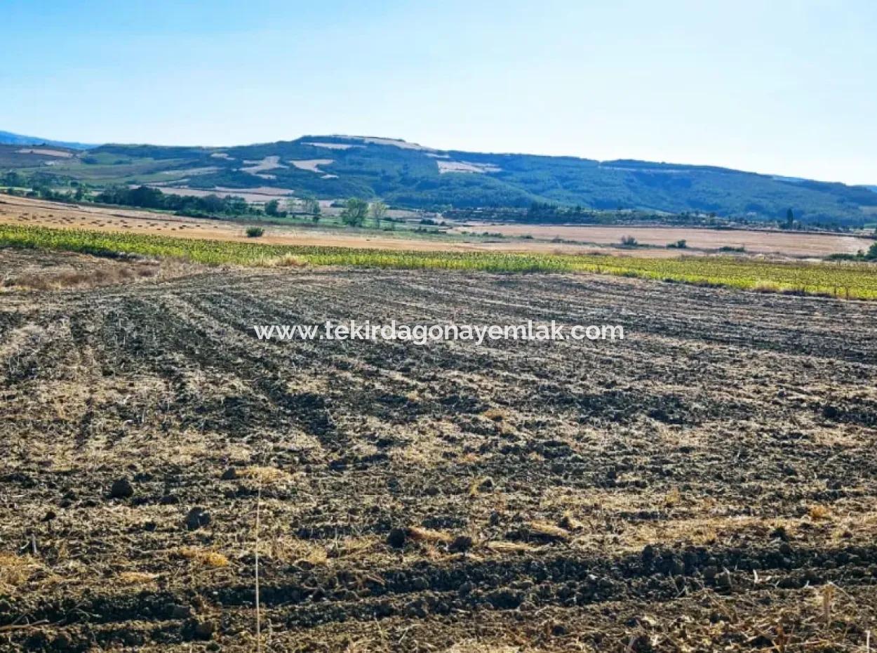 Asyaport Limanı Mevcut İmara Çok Yakın Yatırımlık Yapmak İsteyenler İçin Kaçırılmayacak Fırsat Arazi