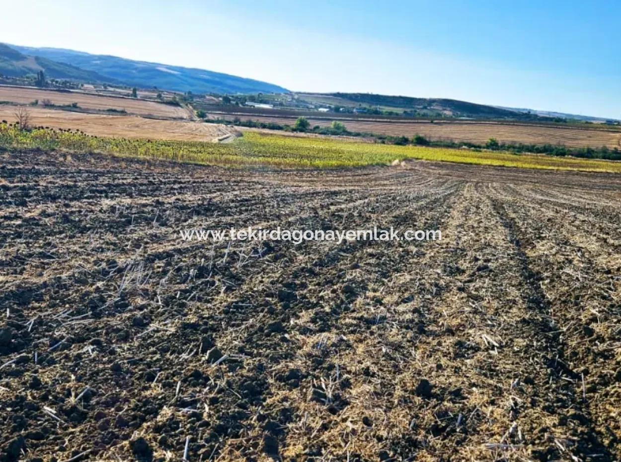 Asyaport Limanı Mevcut İmara Çok Yakın Acil Satılık 17.350 M2 Kelepir Yatırımlık Kupon Tarla