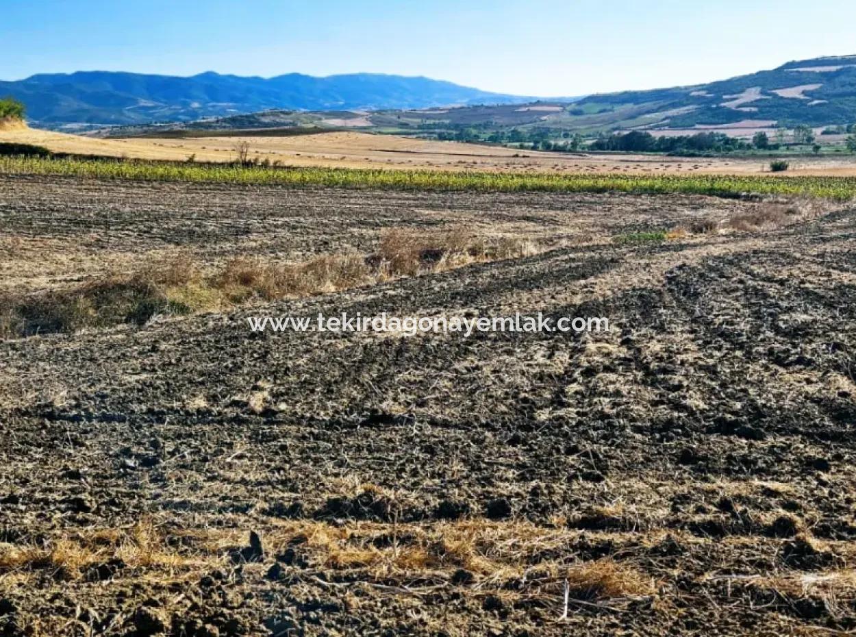 Asyaport Limanı Mevcut İmara Çok Yakın Acil Satılık 17.350 M2 Kelepir Yatırımlık Kupon Tarla