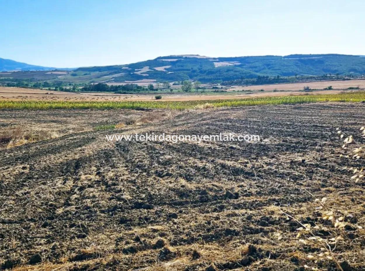 Asyaport Limanı Mevcut İmara Çok Yakın Acil Satılık 17.350 M2 Kelepir Yatırımlık Kupon Tarla