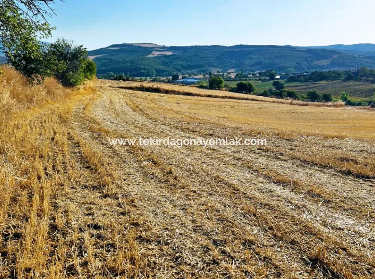 Asyaport Limanı Mevcut İmara Yakın 16.100 Acil Satılık Yatırımlık Kelepir Kupon Tarla