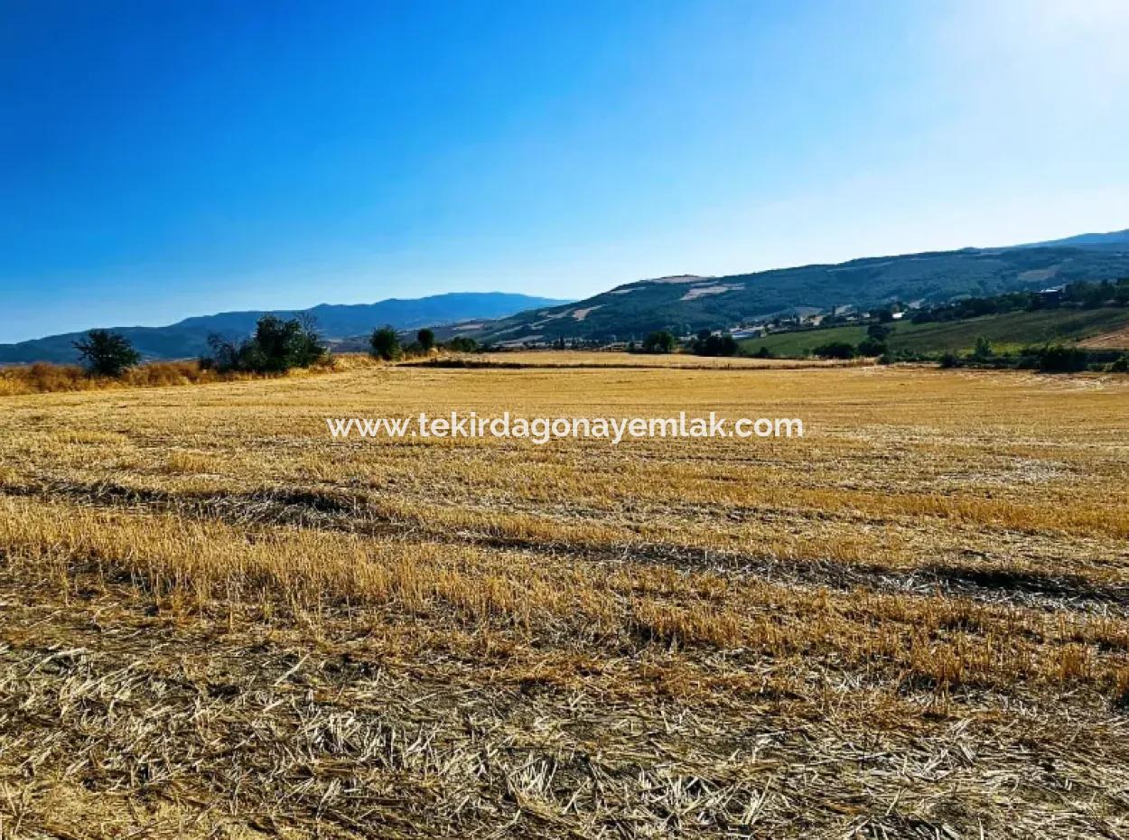 Asyaport Limanı Mevcut İmara Yakın 16.100 Acil Satılık Yatırımlık Kelepir Kupon Tarla