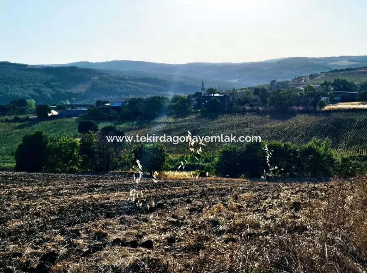 Asyaport Limanı Mevcut İmara Yakın 16.100 Acil Satılık Yatırımlık Kelepir Kupon Tarla