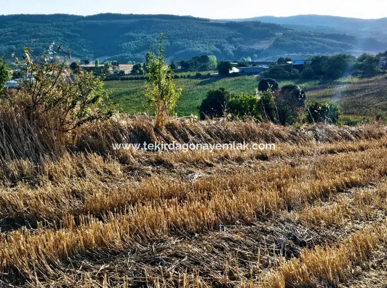 Asyaport Limanı Mevcut İmara Yakın 16.100 Acil Satılık Yatırımlık Kelepir Kupon Tarla