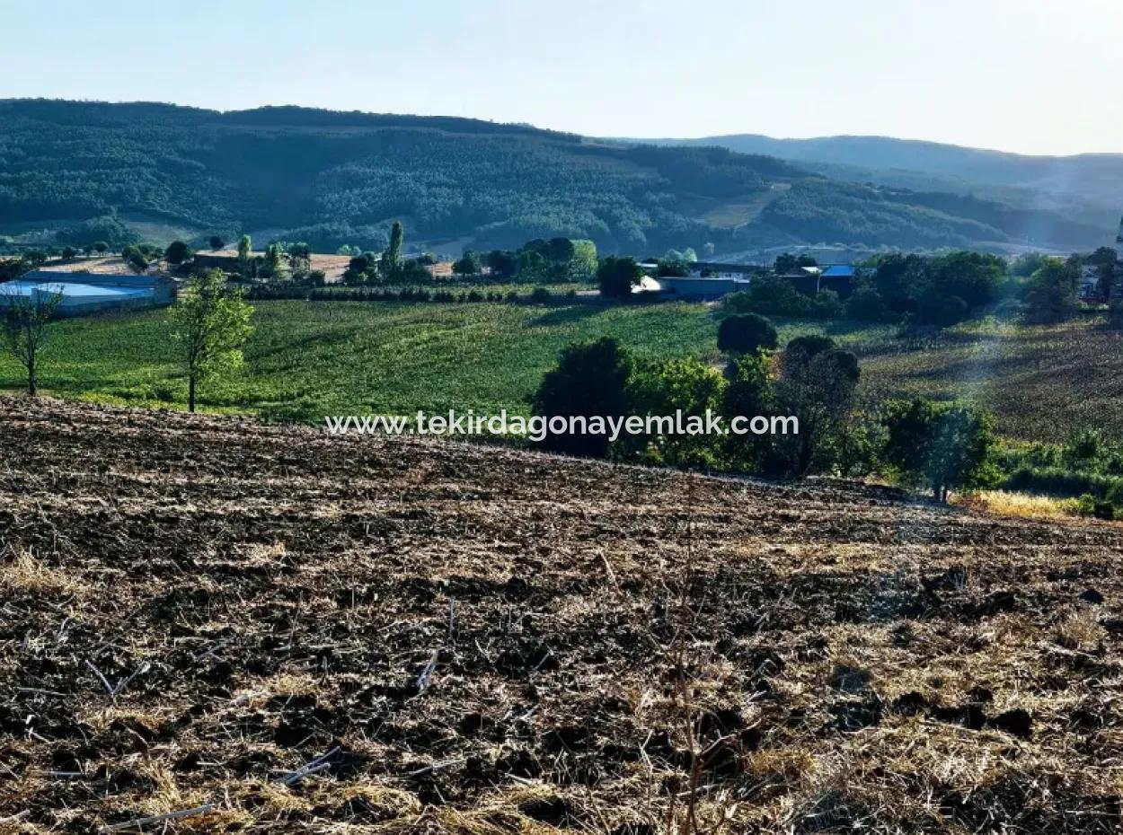 Asyaport Limanı Mevcut İmara Yakın 16.100 Acil Satılık Yatırımlık Kelepir Kupon Tarla