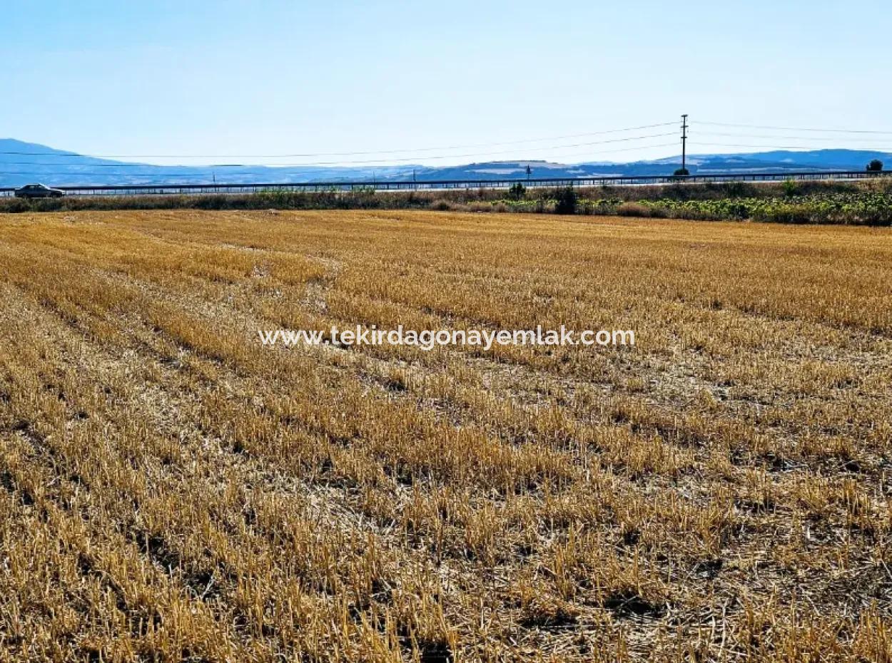 Asyaport Limanı Mevcut İmar Planı İçinde ( Ticari & Sanai ) Alanı Yatırımlık Kupon 8.100 M2 Tarla