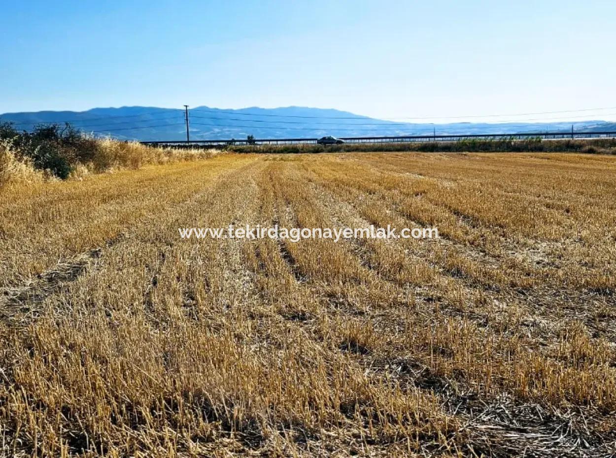 Asyaport Limanı Mevcut İmar Planı İçinde ( Ticari & Sanai ) Alanı Yatırımlık Kupon 8.100 M2 Tarla