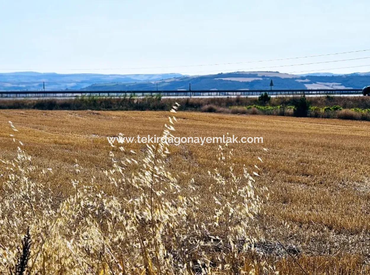 Asyaport Limanı Mevcut İmar Planı İçinde ( Ticari & Sanai ) Alanı Yatırımlık Kupon 8.100 M2 Tarla