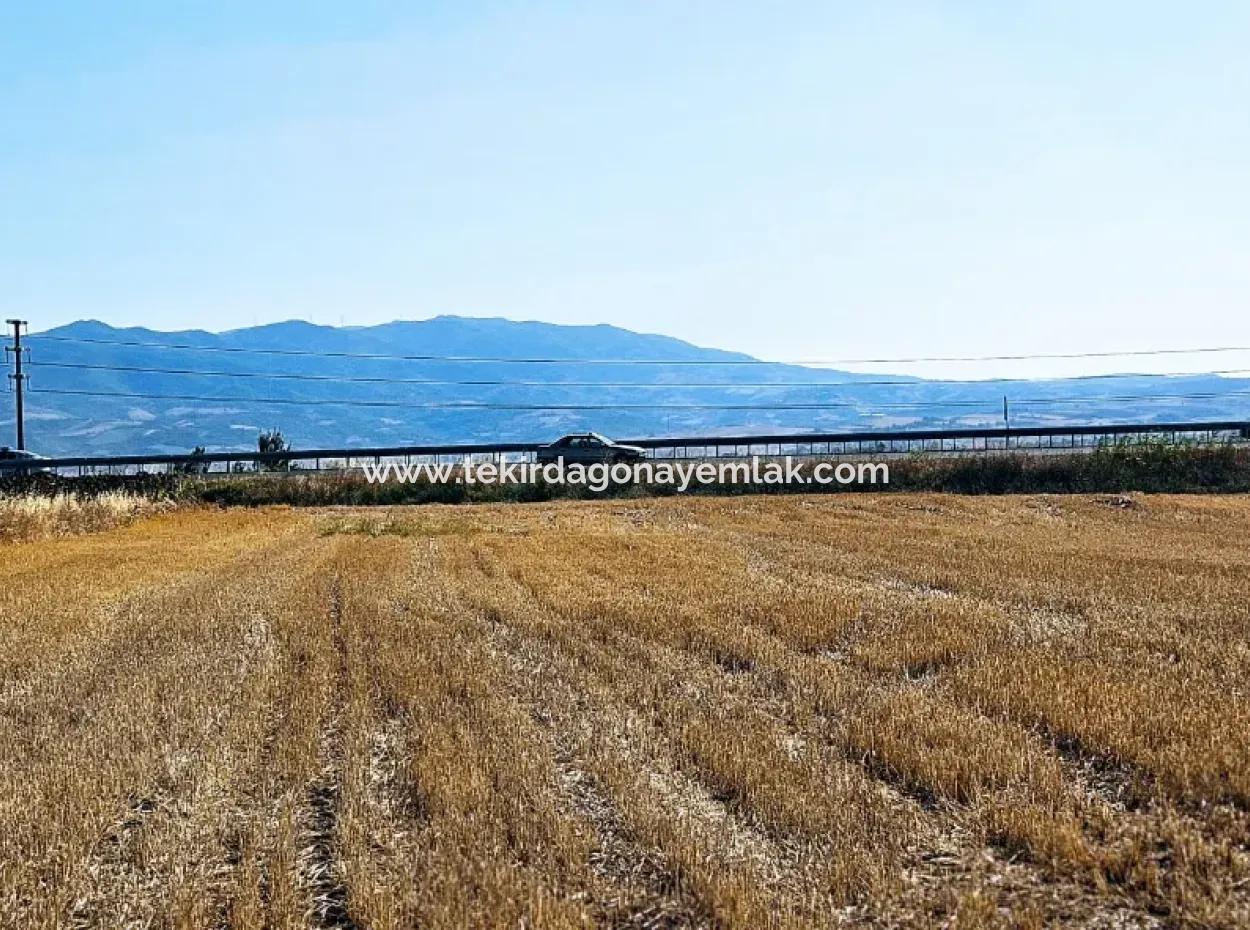 Asyaport Limanı Mevcut İmar Planı İçinde ( Ticari & Sanai ) Alanı Yatırımlık Kupon 8.100 M2 Tarla