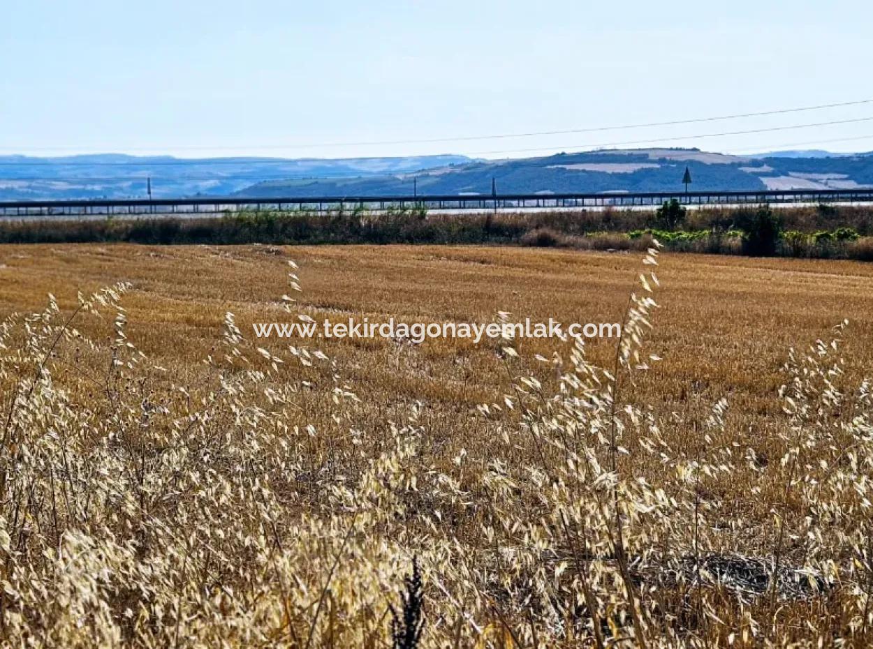 Asyaport Limanı Mevcut İmar Planı İçinde ( Ticari & Sanai ) Alanı Yatırımlık Kupon 8.100 M2 Tarla