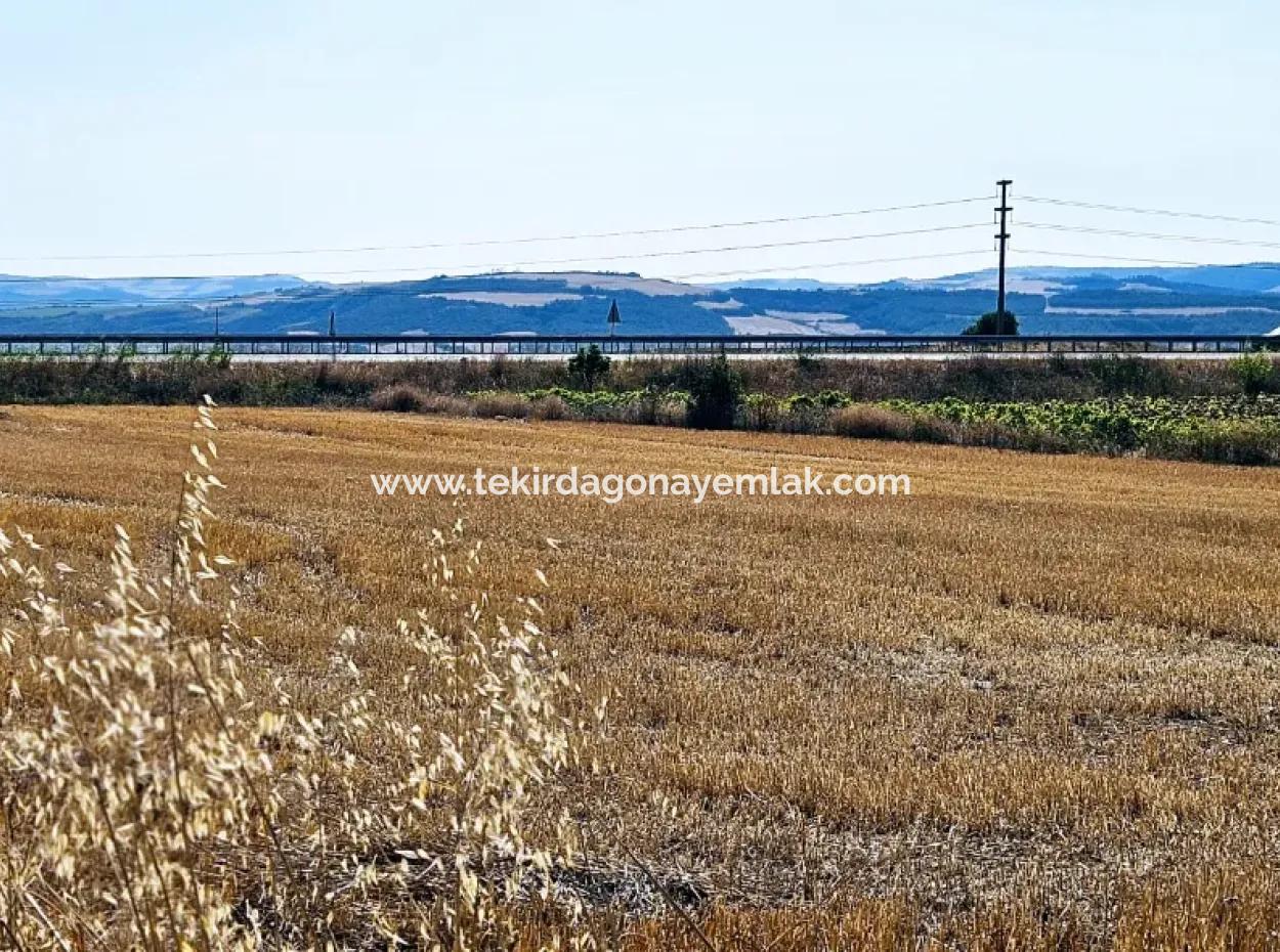 Asyaport Limanı Mevcut İmar Planı İçinde ( Ticari & Sanai ) Alanı Yatırımlık Kupon 8.100 M2 Tarla