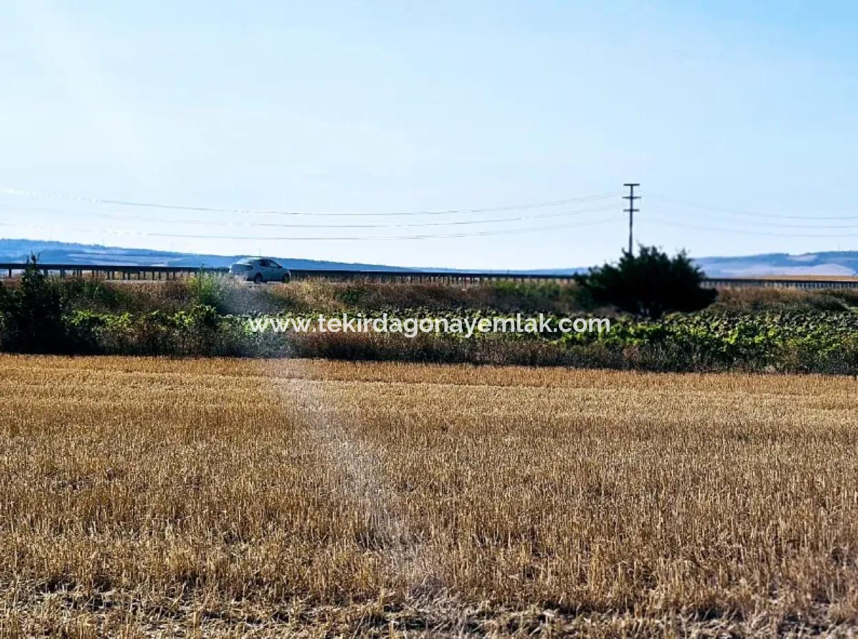 Asyaport Limanı Mevcut İmar Planı İçinde ( Ticari & Sanai ) Alanı Yatırımlık Kupon 8.100 M2 Tarla