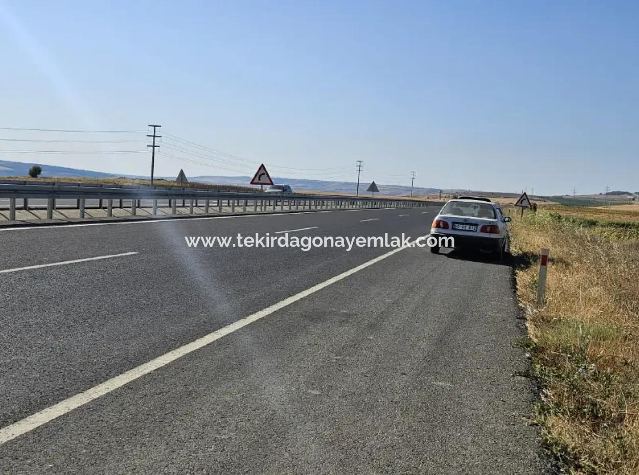 Asyaport Limanı Mevcut İmar Planı İçinde ( Ticari & Sanai ) Alanı Yatırımlık Kupon 8.100 M2 Tarla