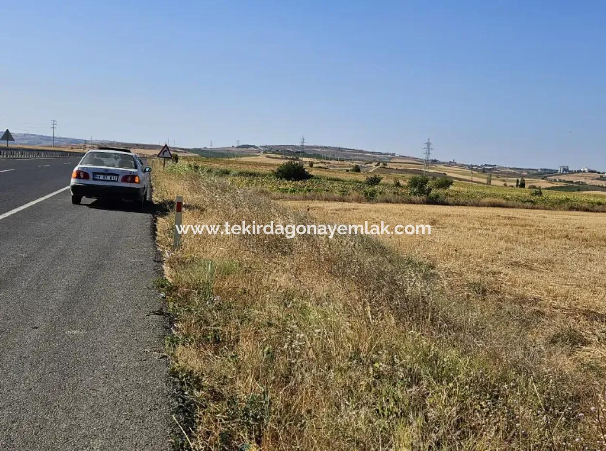 Asyaport Limanı Mevcut İmar Planı İçinde ( Ticari & Sanai ) Alanı Yatırımlık Kupon 8.100 M2 Tarla