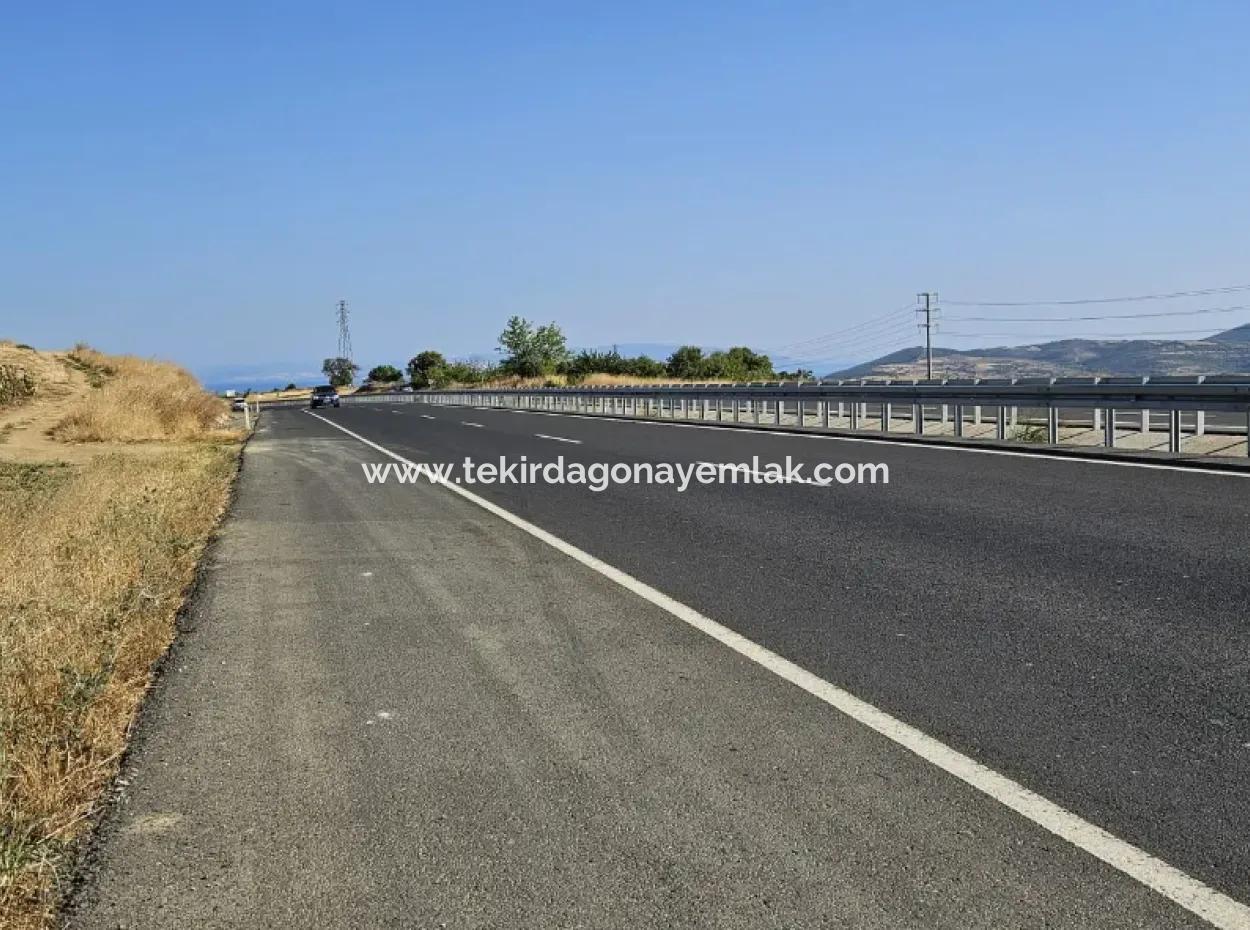 Asyaport Limanı Mevcut İmar Planı İçinde ( Ticari & Sanai ) Alanı Yatırımlık Kupon 8.100 M2 Tarla