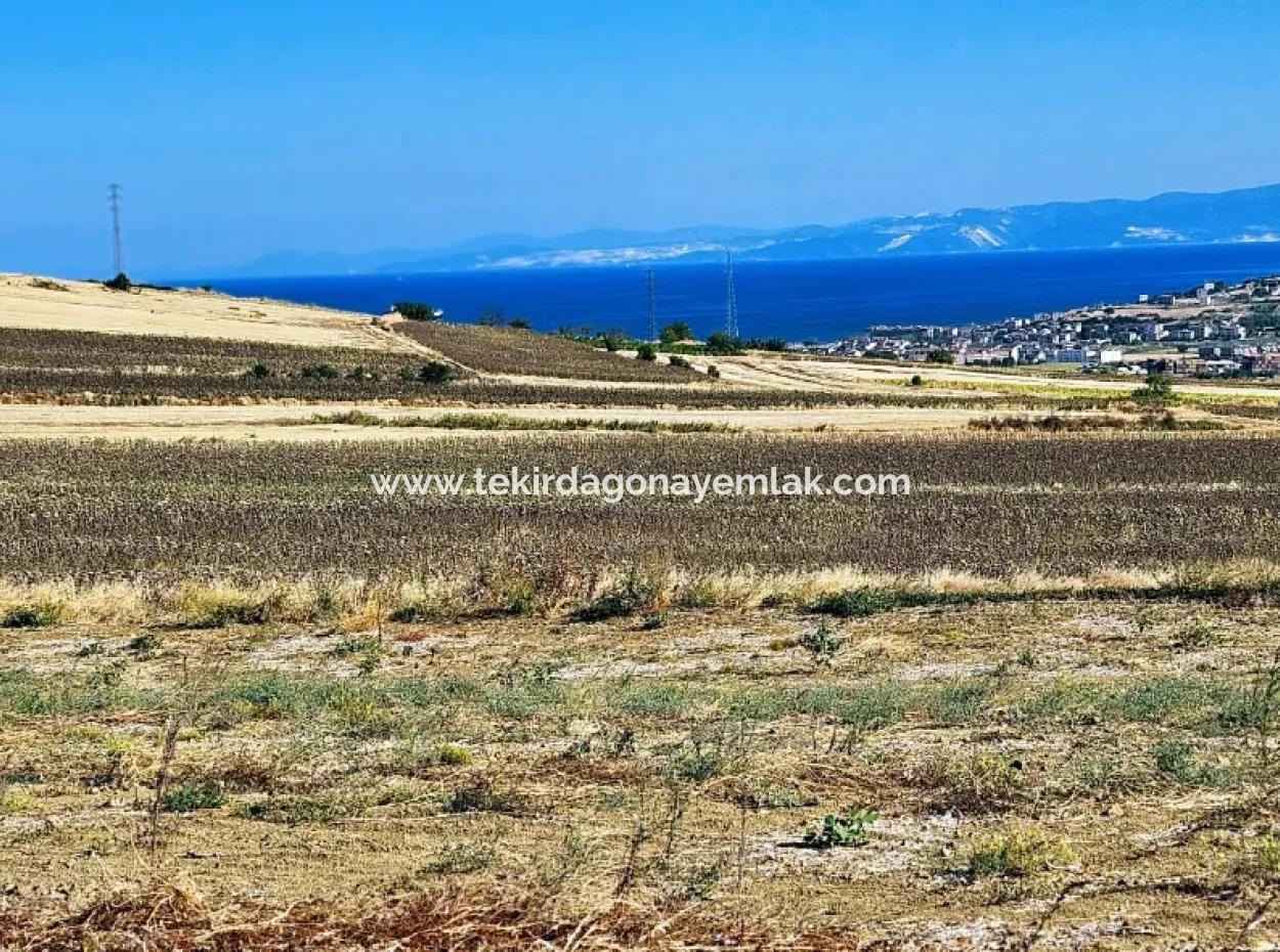 Asyaport Limanı Mevcut İmar Planı İçinde ( Ticari & Sanai ) Alanı Bölgedinde Acil Satılık 6.400 M2 Yatırım Fırsatı