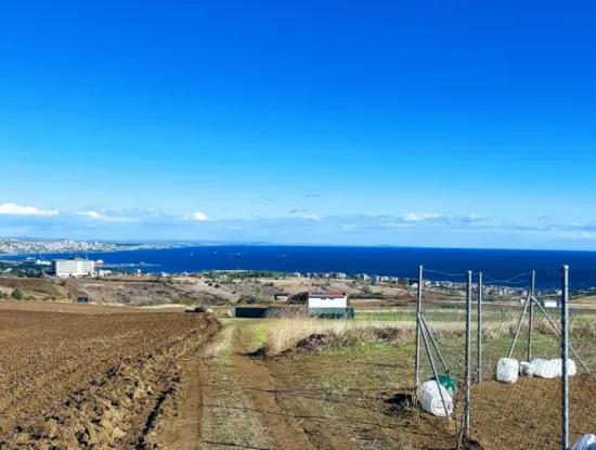 Acil Satılık Lüxs Villa Projesi Uygula Yüksek Kaznç Sağla Yerin Konumu Muhteşem Tamamen Full Deniz Ve Doğa Manzaralı