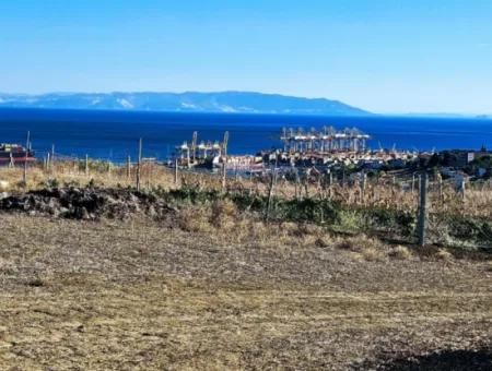 Tekirdağ Barbarosta Acil Satılık Full Deniz Manzaralı 765 M2 Kelepir Arsa
