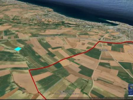 Asyaport Limanı Mevcut İmar Planı İçinde ( Ticari & Sanai ) Alanı Bölgedinde Acil Satılık 6.400 M2 Yatırım Fırsatı