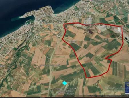 Asyaport Limanı Mevcut İmar Planı İçinde ( Ticari & Sanai ) Alanı Bölgedinde Acil Satılık 6.400 M2 Yatırım Fırsatı