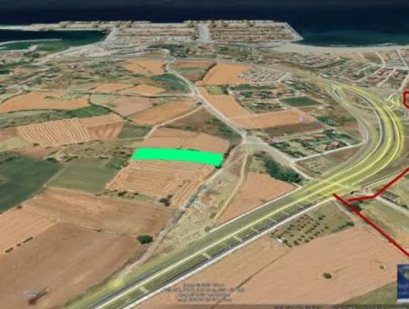 Asyaport Limanına Sadece 1 Km Yakınlıkta Acil Satılık 4.150 M2 Konut İmarlı Tarla