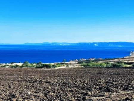 Tekirdağ Barbrosta Acil Satılık Yatırımcısına Yüksek Kazanç Garantisi 44 Dairelik Kooparetif Ve Site Yapımına Uygun Arazi