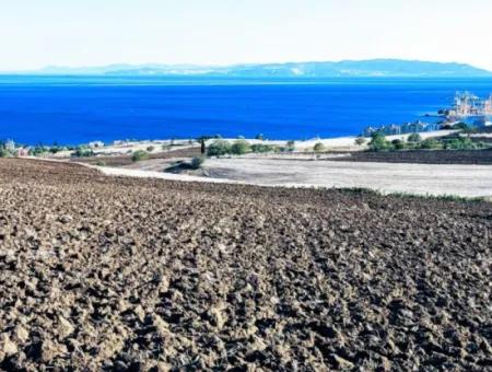 Tekirdağ Barbrosta Acil Satılık Yatırımcısına Yüksek Kazanç Garantisi 44 Dairelik Kooparetif Ve Site Yapımına Uygun Arazi