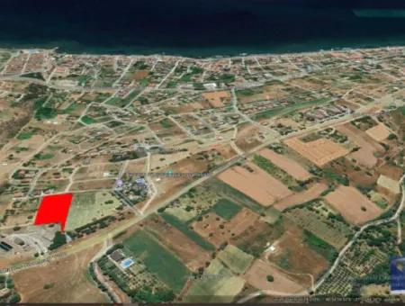 Tekirdağ Barbarosta Acil Satılık 4 Tarafı Yol Cephe Tatırımlık Yer Arayanlar İçin Kaçırılmayacak Fırsat