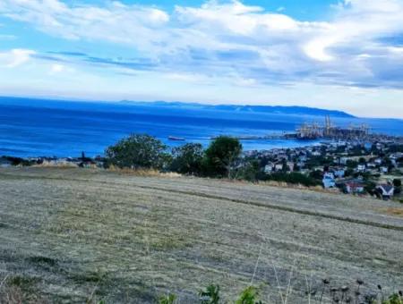 Tekirdağ Barbarosta Acil Satılık Full Deniz Manzaralı Kooparetif Site Yapımına Uygun 3.300 M2 Net Arsa