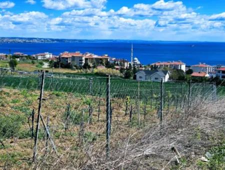 Acil Satılık Tekirdağ Barbarosta 40 Dairelik Full Deniz Manzaralı Konut İmarlı Arazi