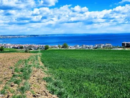 Acil Satılık Tekirdağ Barbarosta 40 Dairelik Full Deniz Manzaralı Konut İmarlı Arazi