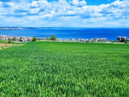Acil Satılık Tekirdağ Barbarosta 40 Dairelik Full Deniz Manzaralı Konut İmarlı Arazi